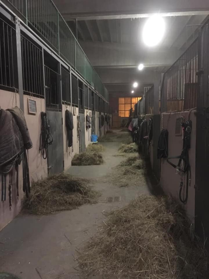 Lions Village Domodossola Exterior photo